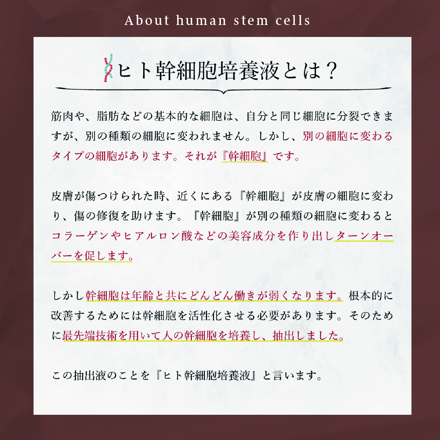 ヒト幹細胞配合について